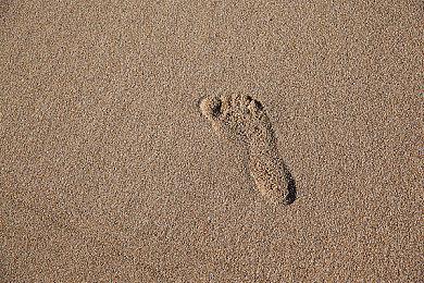 《One Lonely Outpost》steam抢先体验 科幻移民模拟经营